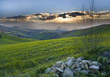 Verde respiro 